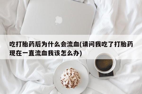 admin 第119页