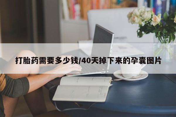 流产药微信联系方式无副作用打胎药需要多少钱/40天掉下来的孕囊图片